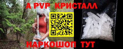 шишки Обь