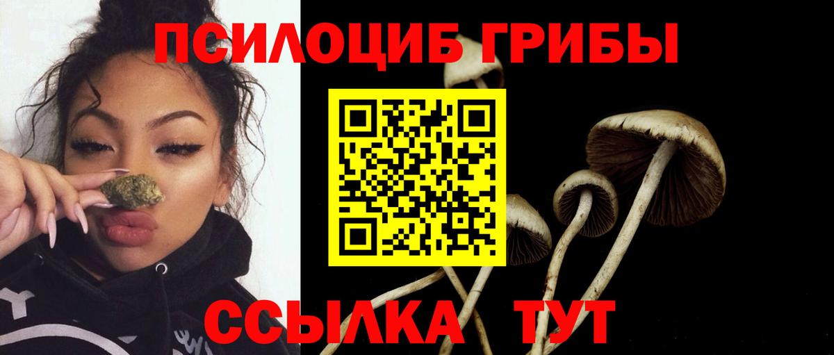 Галлюциногенные грибы GOLDEN TEACHER  Галлюциногенные грибы Magic Shrooms  Тольятти  что такое   Вход с VPN 